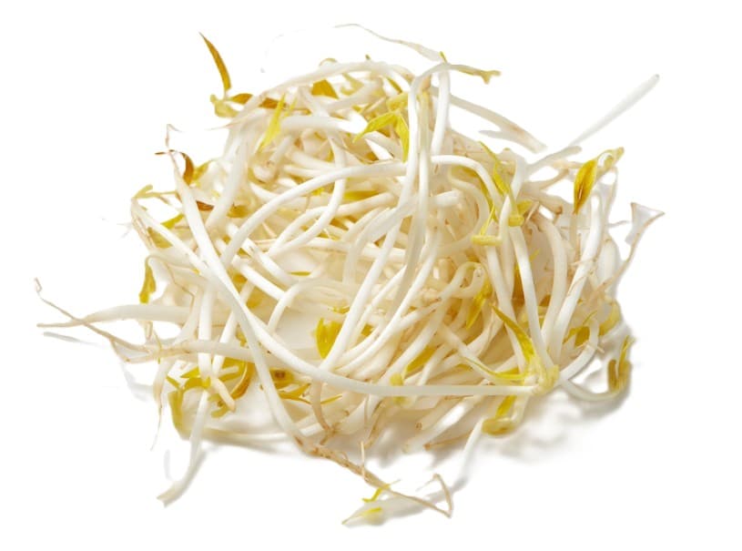 BEAN SPROUT
